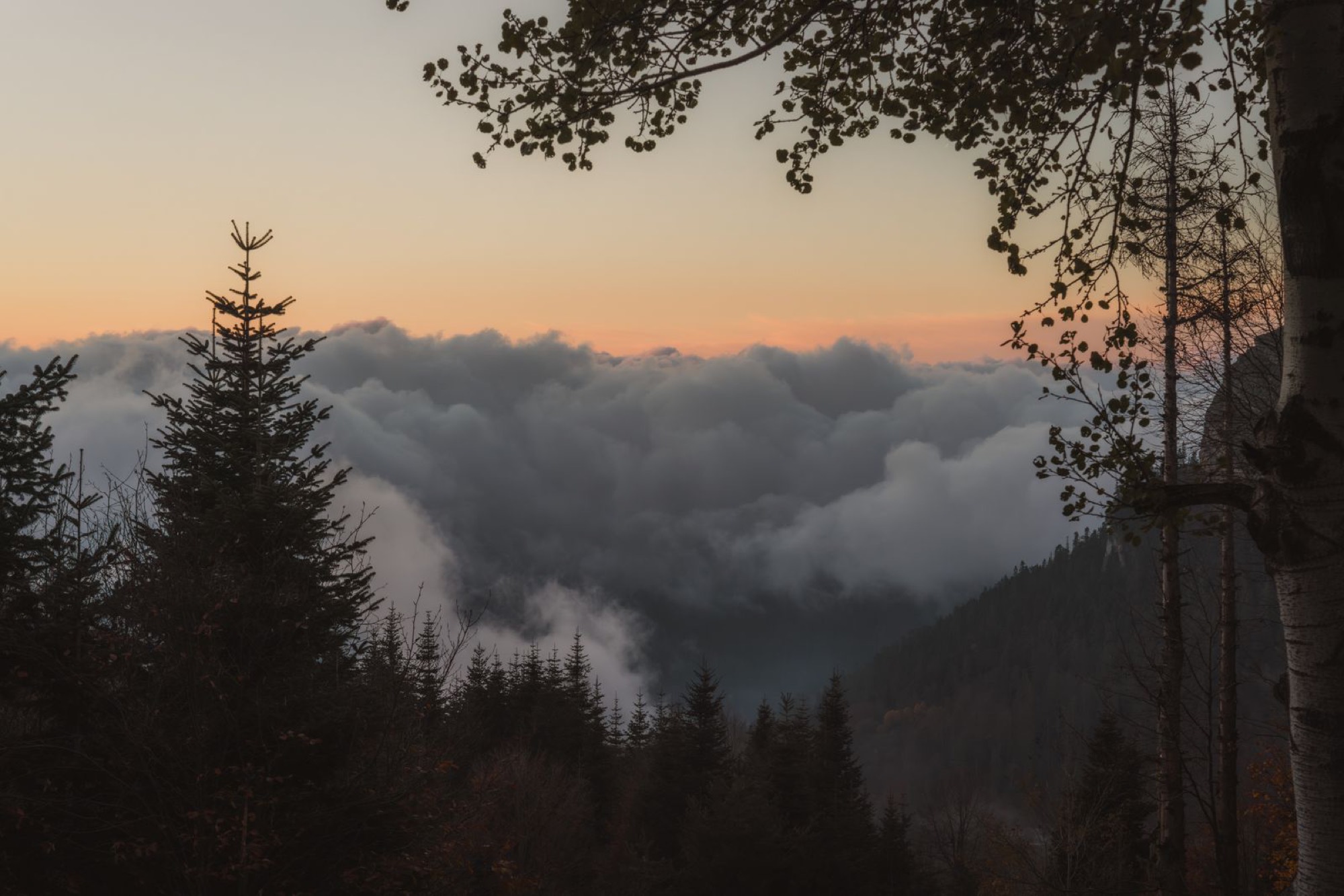 Sunrise over a sea of clouds